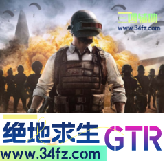 GTR专享-「射线提醒_算法自瞄_网吧隐藏」
